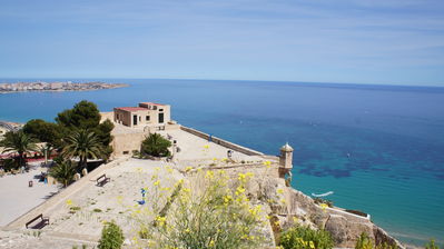 Click to view full size image