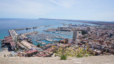 Click to view full size image