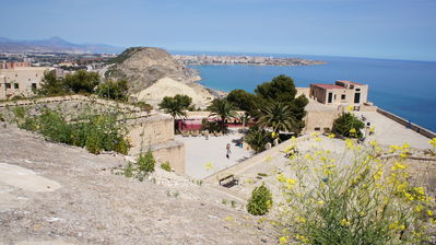 Click to view full size image